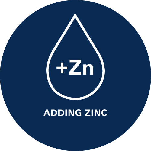 Añadir zinc - El zinc estimula el equilibrio.  
